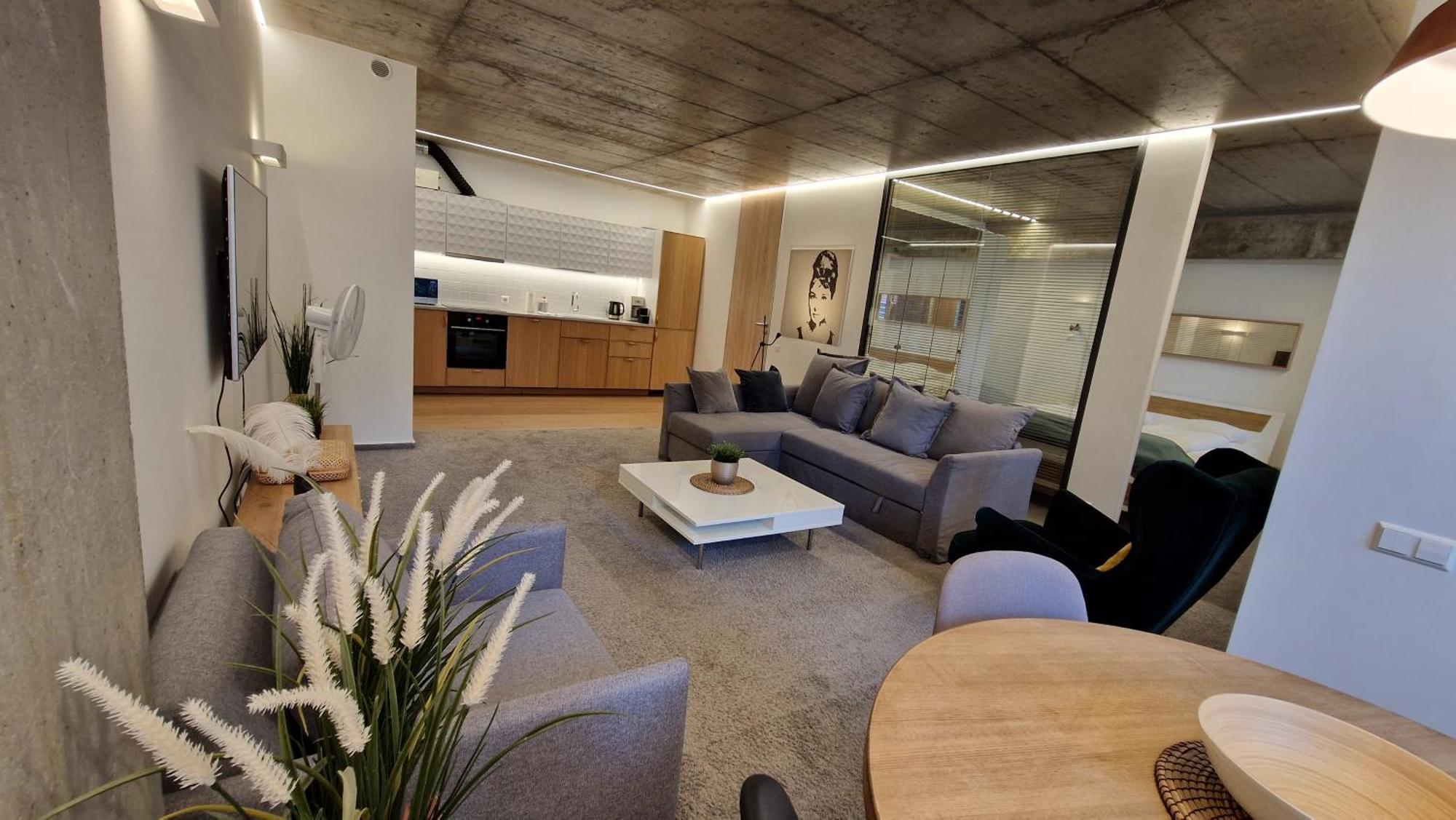 Appartement Kauno-algirdo Luxury