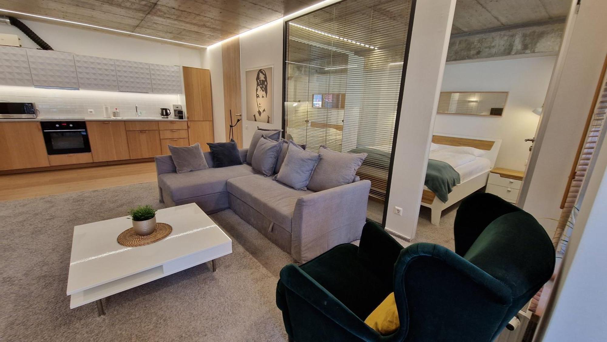 Kauno-algirdo Luxury Appartement *