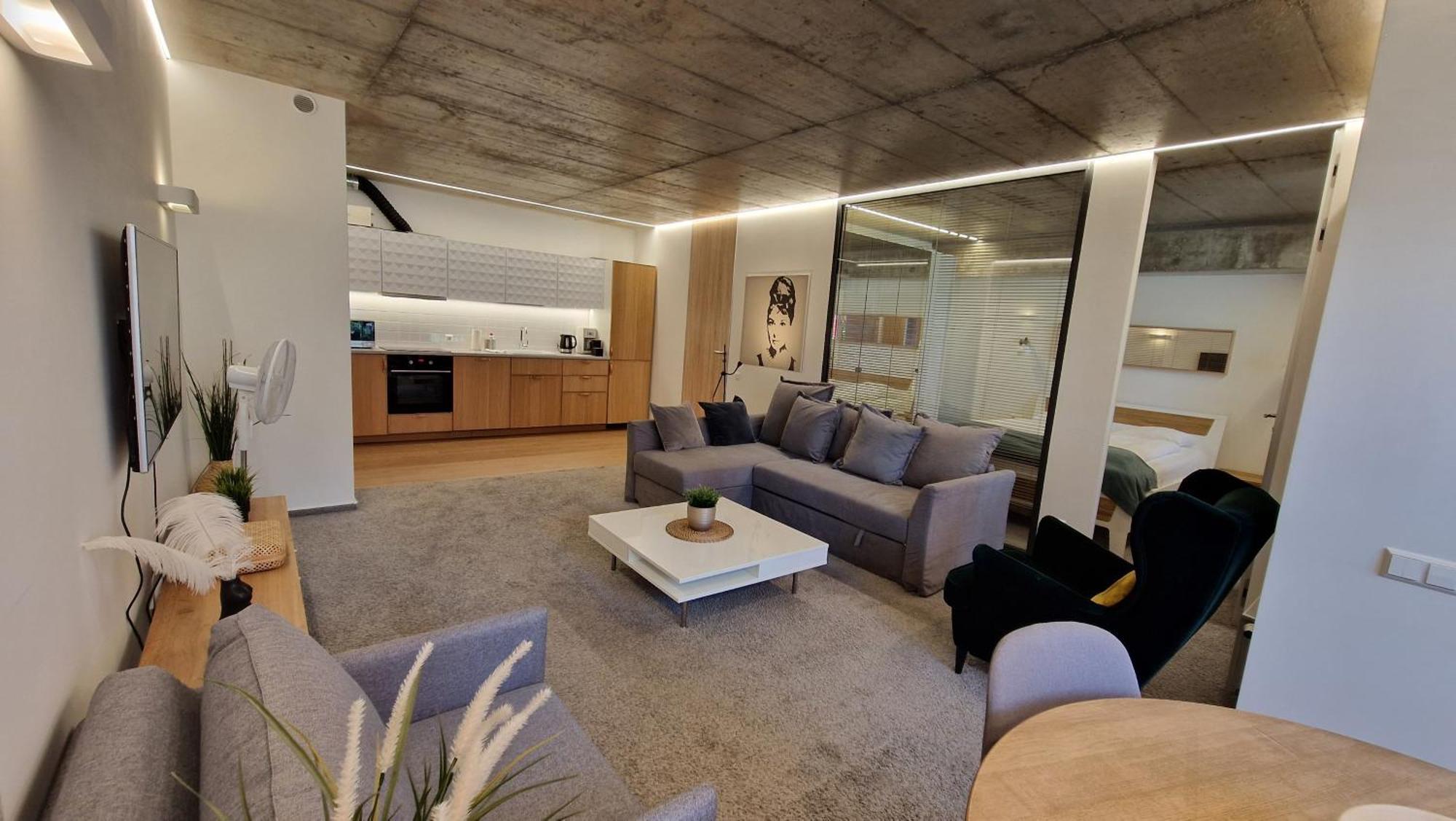 Kauno-algirdo Luxury Appartement VNO